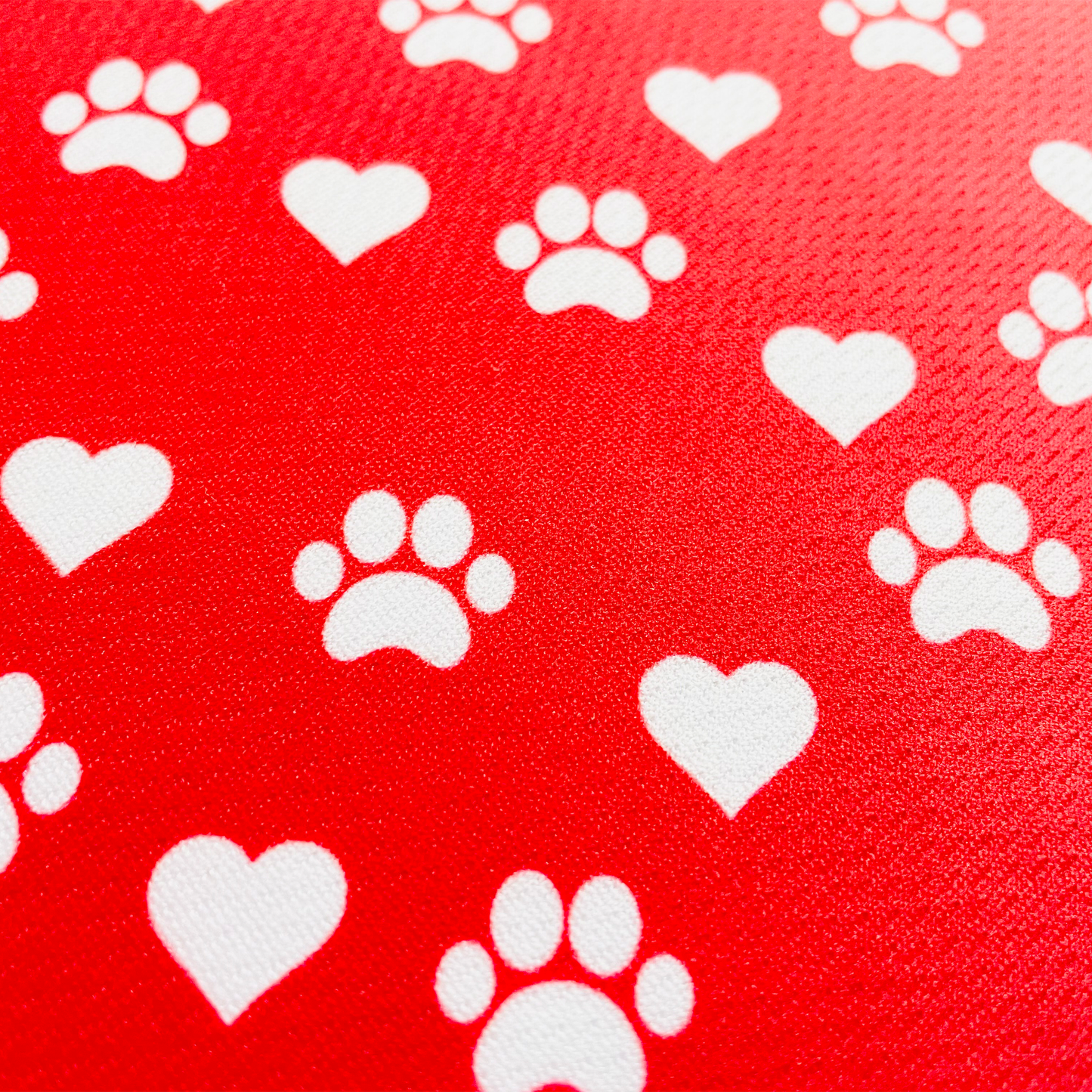 Valentine's Day Dog Bandana