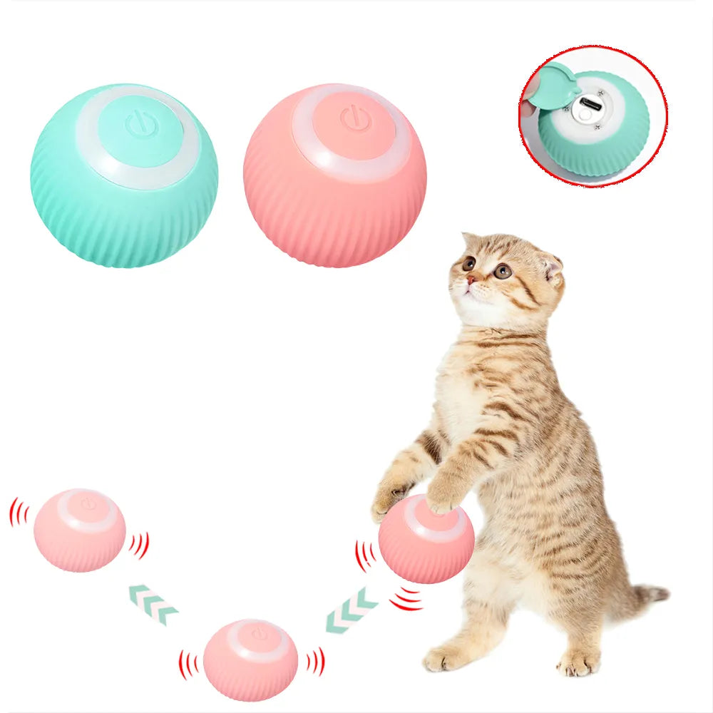 Smart Ball for Cats and Dogs