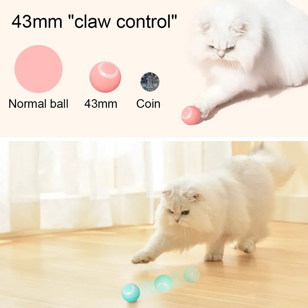 Smart Ball for Cats and Dogs