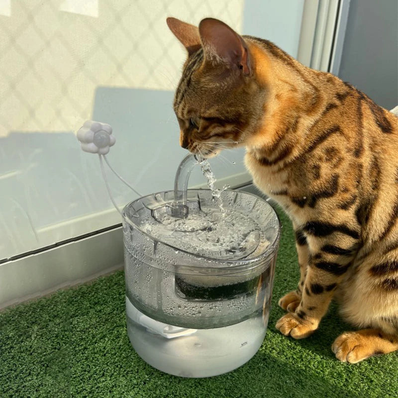 Smart Pet Water Dispenser