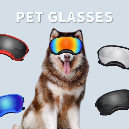 Dog Goggles