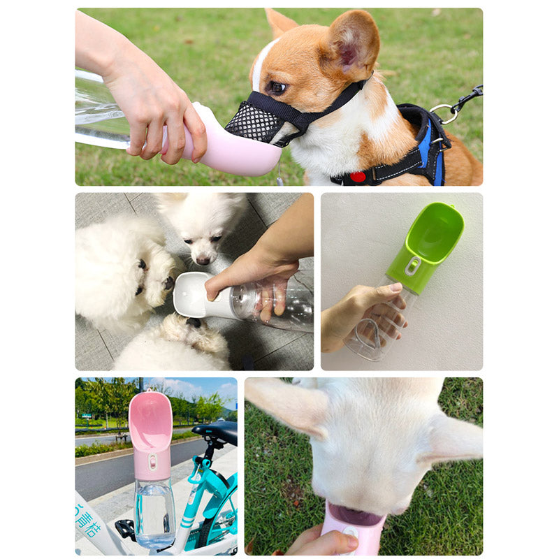 Portable Pet Water and Food Feeder